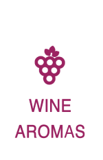 Wine aromas