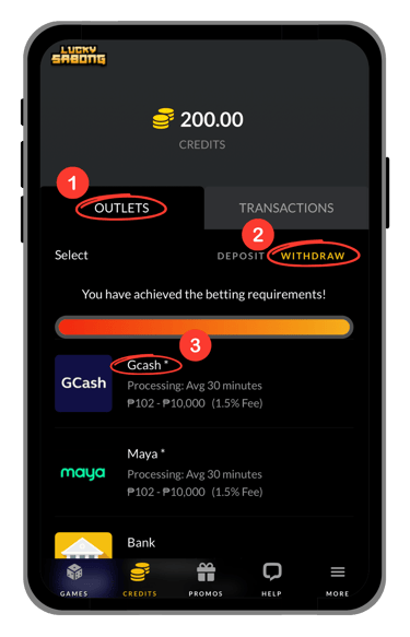 goperya account verification screen