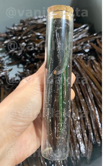 Crystalized frozen vanilla beans in a jar on hand