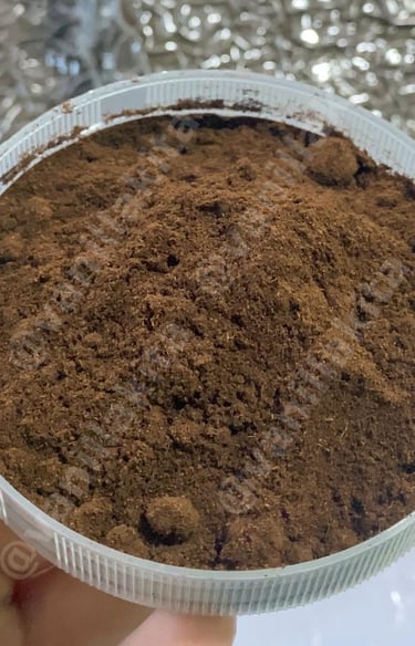 Vanilla powder on bowl