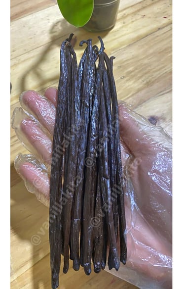 Vanilla beans on hand