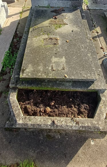 NETTOYAGE TOMBE ENCRASSEE en Pays de la loire