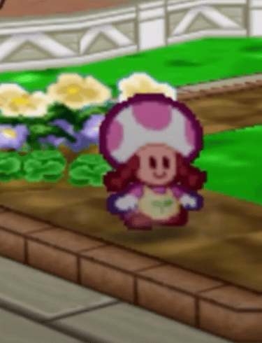 Paper Mario - Almost Toadette...