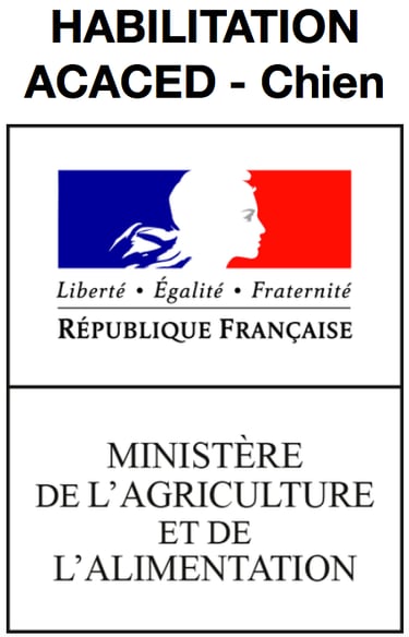 Diplome ACACED éducateur canin Bayonne, Anglet, Biarritz