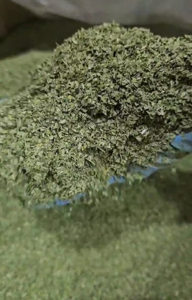 Moringa dried tea cut - adely eco nusantara