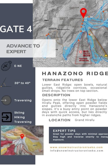 Niseko Gate 4 (Hanazono Ridge) info card. Adv-Exp. Open bowls, gullies, natural drops, no trees on top.