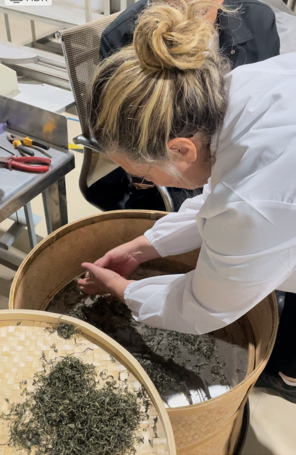 Transformation du thé - Maître de thé 