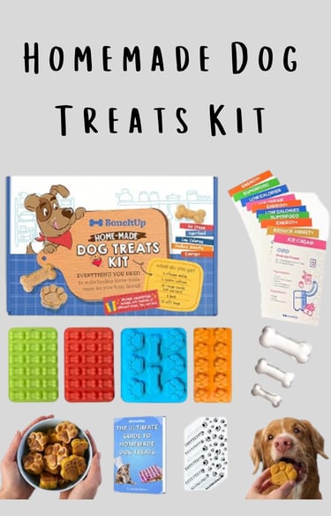 homemade dog treats