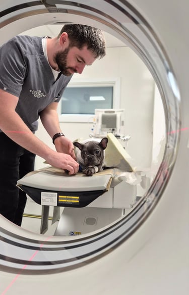 Dr Kyle Eadie The Woodbridge Vets - Reason Marketing Marketing Consultant