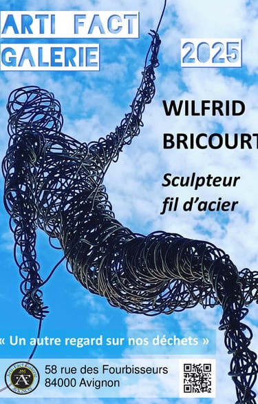 Arti-Fact Galerie d'Art Avignon exposition 