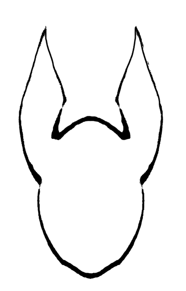Anubis BioConsulting logo