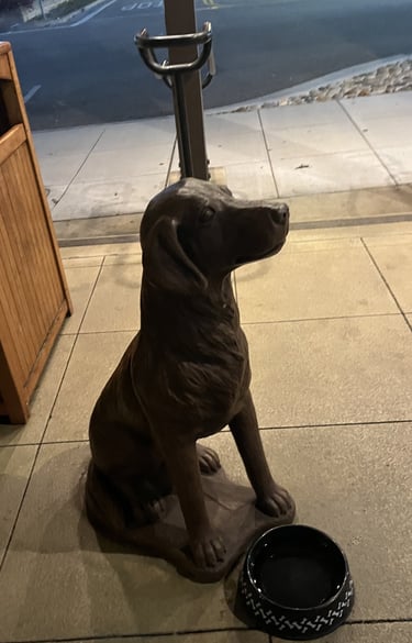 casa munras dog friendly monterey ca