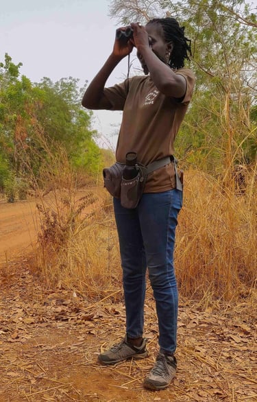 Fatou Colley, guide of Birding Adventures Gambia & Senegal, birdwatching with binoculars during a pr