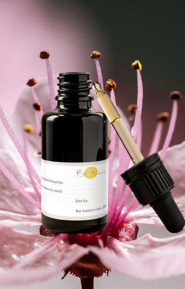 Cherry plum blossom — used in bespoke Bach flower essence blends by Bo-tanics