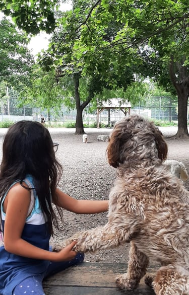 little girl holding a dog paws at the park