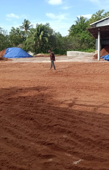 dried process of cocopeat - adely eco nusantara