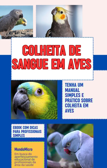 Aprenda o básico da coleta em aves