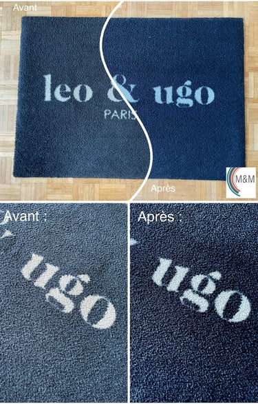 nettoyage en profondeur tapis d'entrée de léo et ugo rouen - m&m services pro
