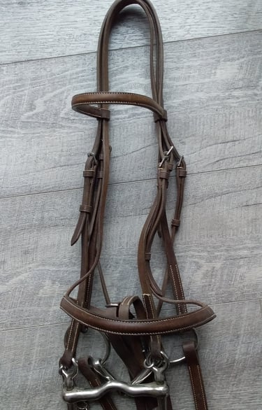Hand stitched leather bridle