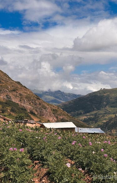 Wilcacocha landscape view in Huaraz, Peru