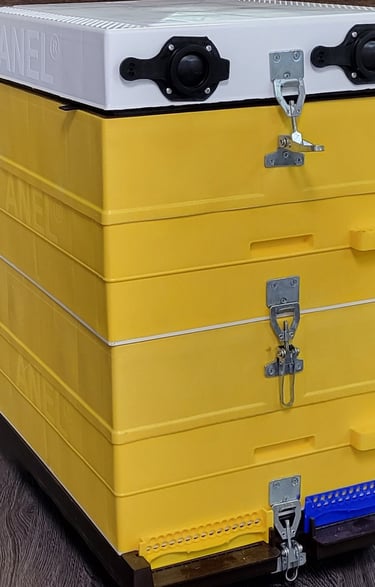ANEL Insulated Hive