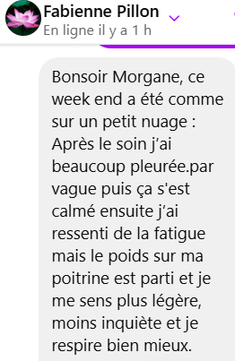 A screenshot of a positive French customer testimonial message from Fabienne Pillon about emotional healing.