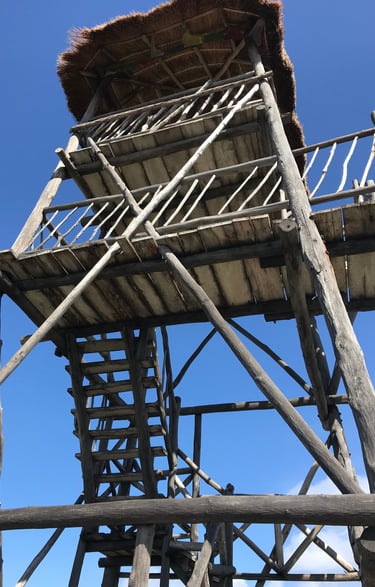 Tower for an elevated view of the Cozumel Lighthouse