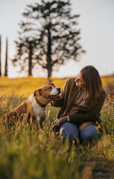 donna-che-accarezza-i-cani-al-tramonto