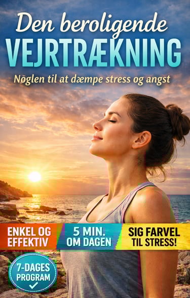 Den abdominale vejrtrækning – lær at berolige nervesystemet, reducere stress og angst, og få mere ro