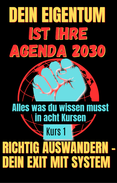 buch cover dexit richtig auswander raus aus dme system i