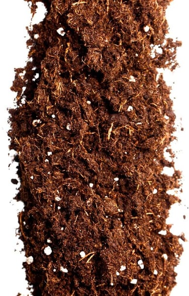 Indoor plant soil mix for houseplants showing balanced texture for drainage, airflow, and moisture 