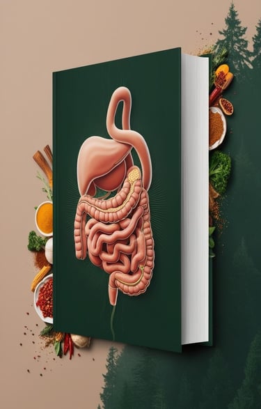Aparato digestivo humano que muestra el intestino delgado, zona afectada por el SIBO o sobrecrecimiento bacteriano, relaciona