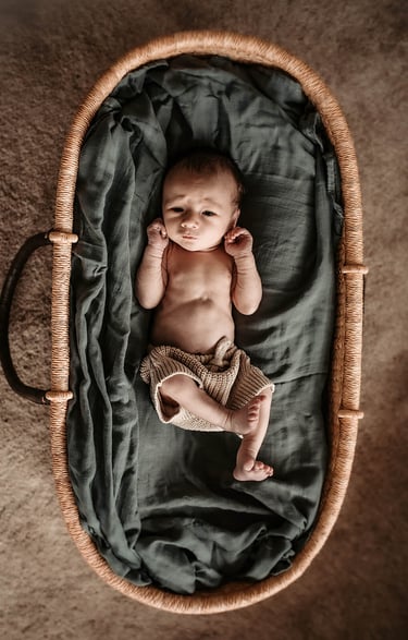 Newborn lying in Moses basket, lifestyle newborn session Duluth Minnesota