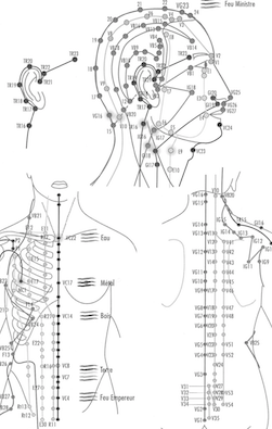schéma dessiné du corps humain parcouru des méridiens de la médecine chinoise