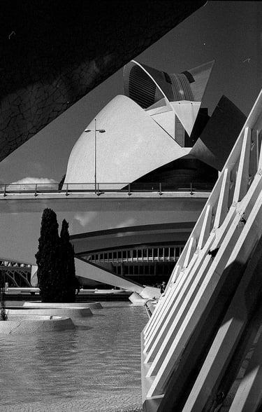 2 clasificado BN febrero 2026