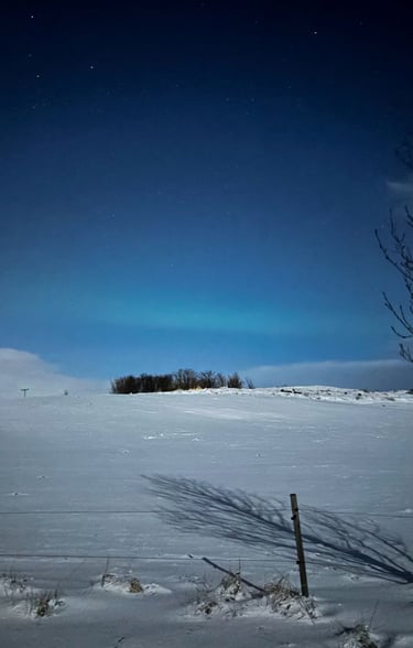 islanda-neve