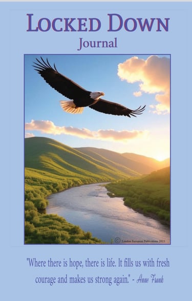 Eagle flying over river lock down journal for inmates