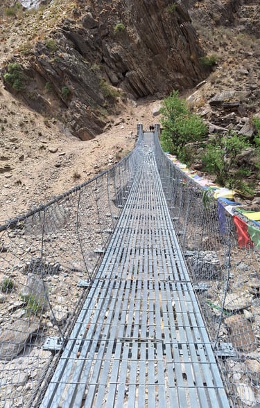 Bridge Phoksundo Park