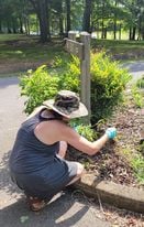 An FOPM volunteer weeding park landscape