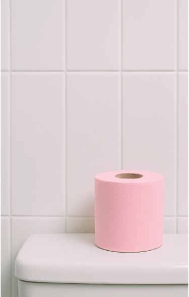 wall tiles bathroom with pink toilet paper roll