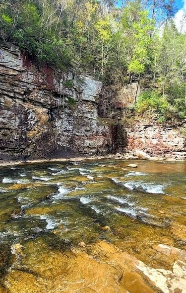 Fall Creek Falls, Pikeville - Top of Piney Creek Falls before they spill over the rock ledge
