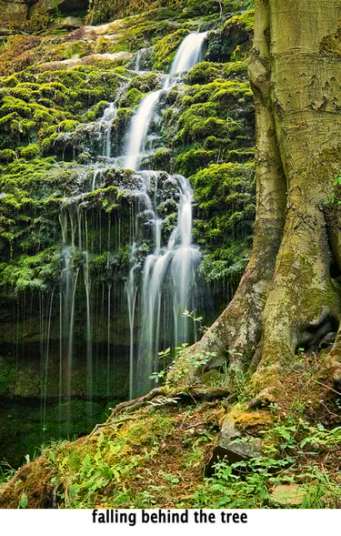 a small waterfall behind a tree trunk a micro landscape concept