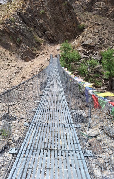 Bridge Phoksundo Park