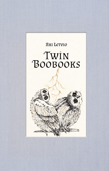 a book cover of two owls and a lightning bolt classic fairytale style
