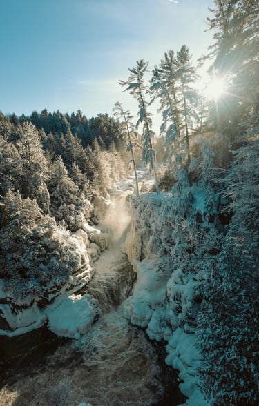 a waterfall in the middle of a forest