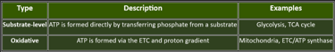 substarte level of phosphorylation