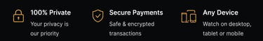 Icons for 100% private data, secure payments with encryption, and streaming on any device.