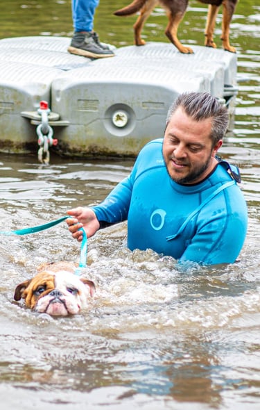 Aqua school, un chien apprend à nager