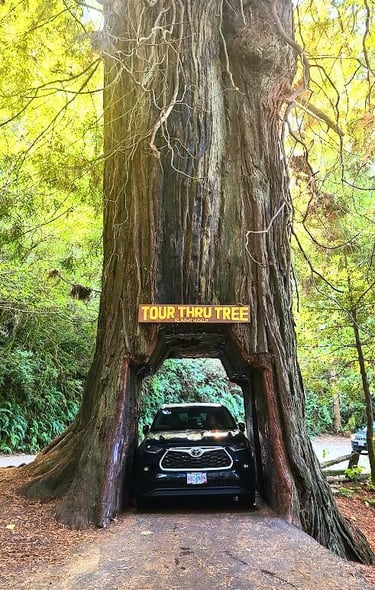CA Coast - Drive thru a Redwood tree at Klamath Tour Thru Tree