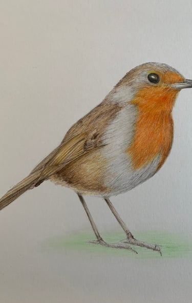 Robin